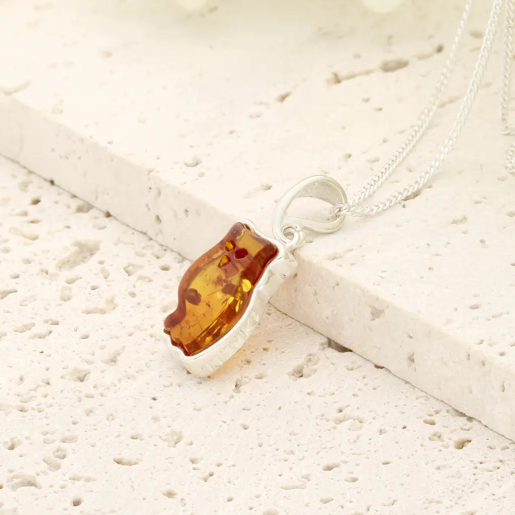 Natural Amber Owl Necklace with 925 Sterling Silver Chain