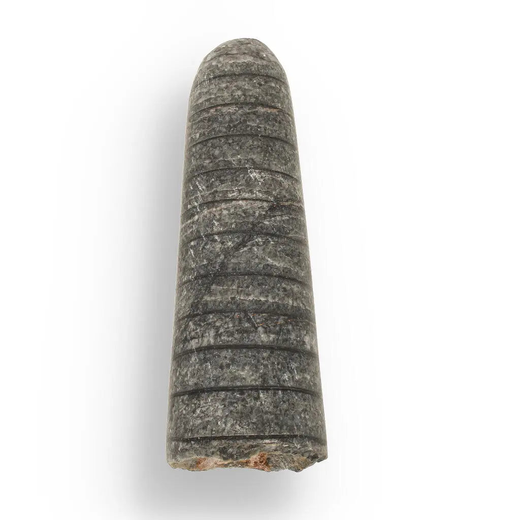 Ocean's Ancient Wonders: Fossil Gift Box of Prehistoric Treasures!