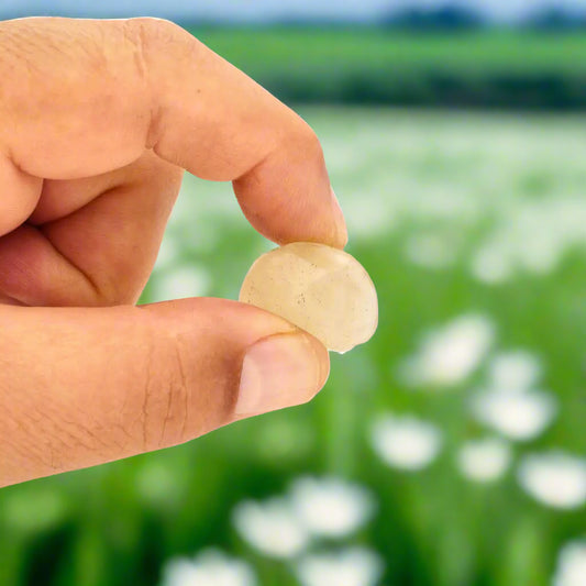 Buy your 6g Libyan Desert Glass – Desert Fire with a Cosmic Past online now or in store at Forever Gems in Franschhoek, South Africa