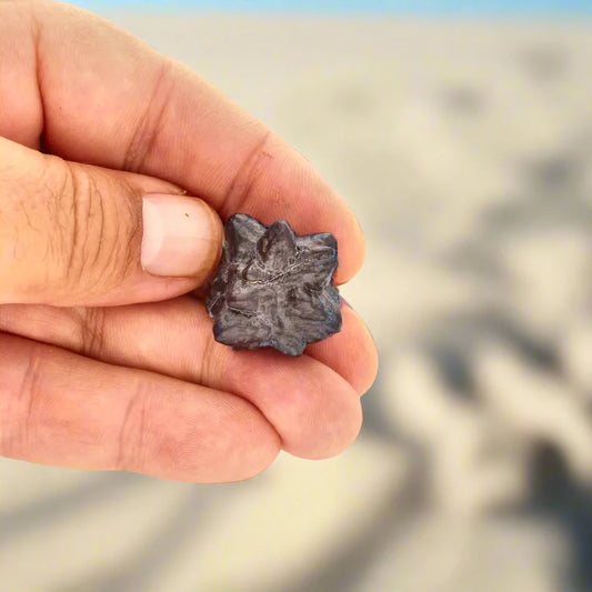 Buy your Prophecy Stone - Stabilize, Awaken, Ascend online now or in store at Forever Gems in Franschhoek, South Africa