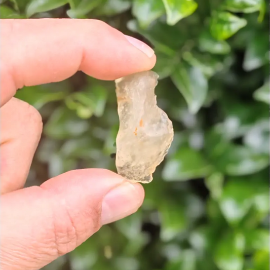 Get your 8g Libyan Desert Glass - Honey-Colored Impact Glass from the Sahara's Hidden Treasure online now or in store at Forever Gems in Franschhoek, South Africa