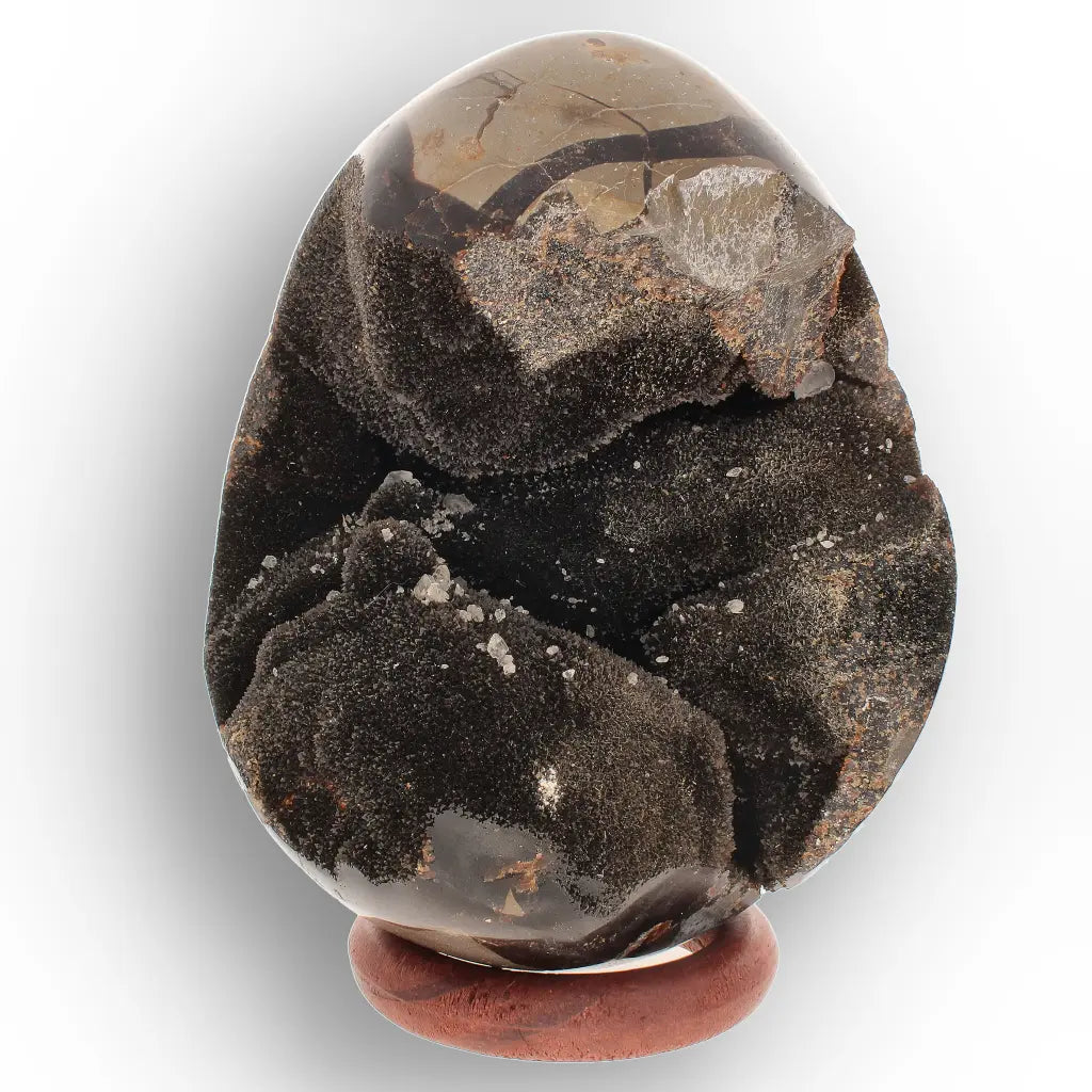 Get your Septarian "Dragon’s Egg" from Madagascar with Crystal Cavity online now or in store at Forever Gems in Franschhoek, South Africa