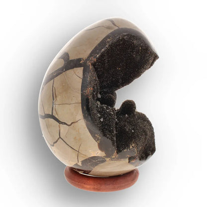 Get your Septarian "Dragon’s Egg" from Madagascar with Crystal Cavity online now or in store at Forever Gems in Franschhoek, South Africa