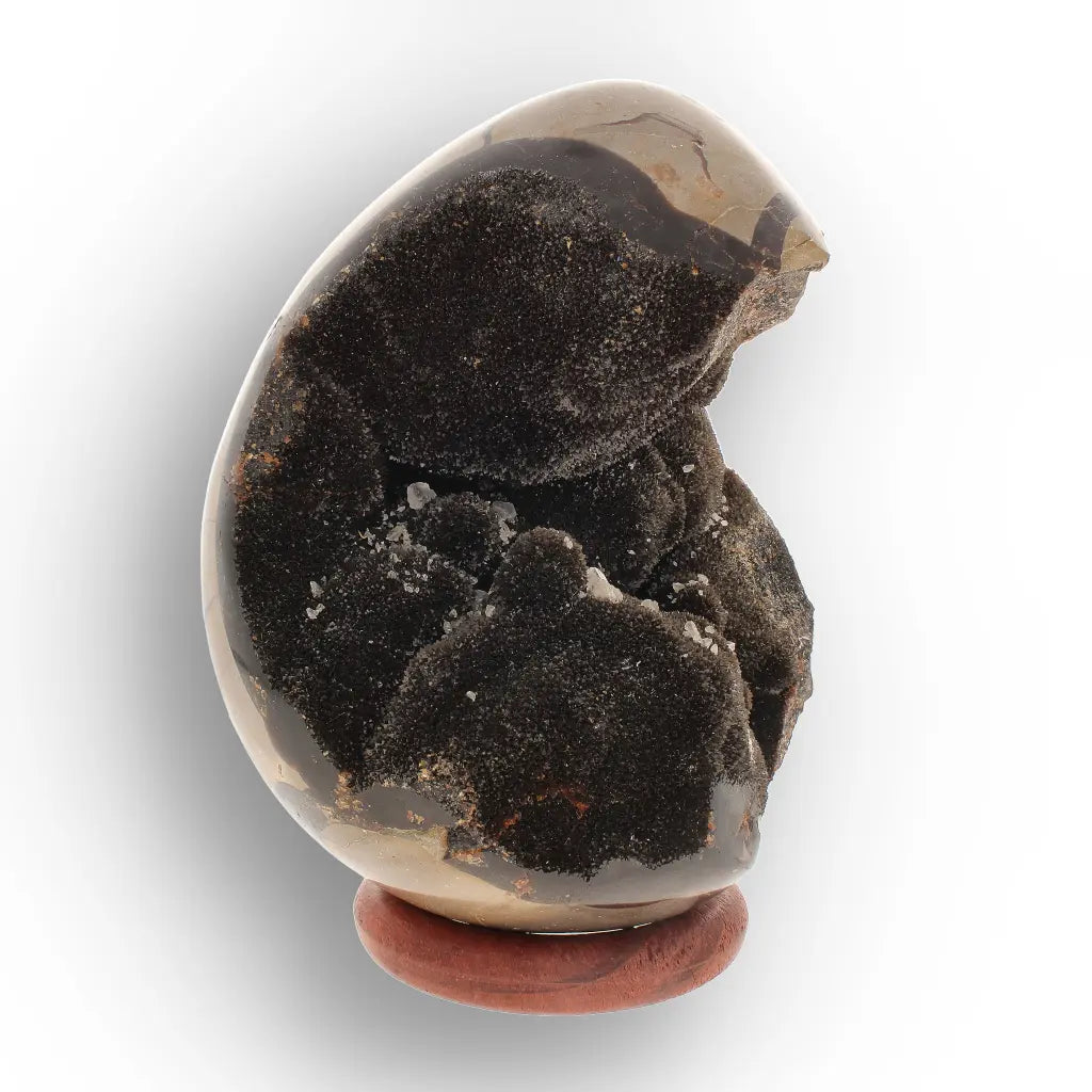 Get your Septarian "Dragon’s Egg" from Madagascar with Crystal Cavity online now or in store at Forever Gems in Franschhoek, South Africa