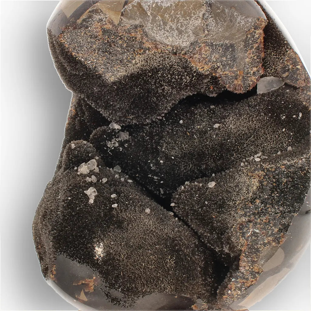 Get your Septarian "Dragon’s Egg" from Madagascar with Crystal Cavity online now or in store at Forever Gems in Franschhoek, South Africa