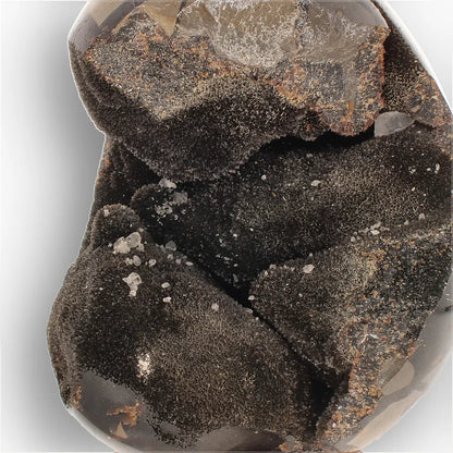 Get your Septarian "Dragon’s Egg" from Madagascar with Crystal Cavity online now or in store at Forever Gems in Franschhoek, South Africa