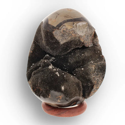 Get your Septarian "Dragon’s Egg" from Madagascar with Crystal Cavity online now or in store at Forever Gems in Franschhoek, South Africa