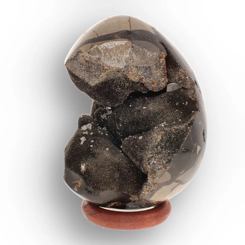 Get your Septarian "Dragon’s Egg" from Madagascar with Crystal Cavity online now or in store at Forever Gems in Franschhoek, South Africa