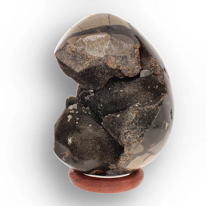 Get your Septarian "Dragon’s Egg" from Madagascar with Crystal Cavity online now or in store at Forever Gems in Franschhoek, South Africa