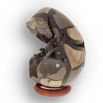 Get your Septarian "Dragon’s Egg" from Madagascar with Crystal Cavity online now or in store at Forever Gems in Franschhoek, South Africa
