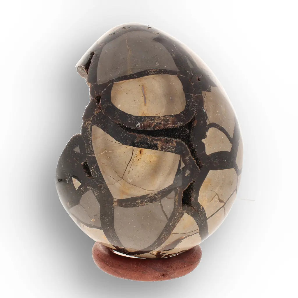 Get your Septarian "Dragon’s Egg" from Madagascar with Crystal Cavity online now or in store at Forever Gems in Franschhoek, South Africa