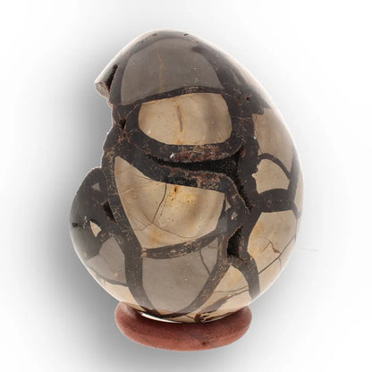 Get your Septarian "Dragon’s Egg" from Madagascar with Crystal Cavity online now or in store at Forever Gems in Franschhoek, South Africa