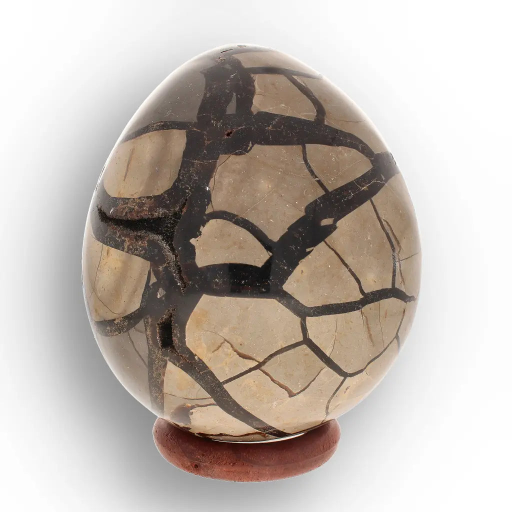 Get your Septarian "Dragon’s Egg" from Madagascar with Crystal Cavity online now or in store at Forever Gems in Franschhoek, South Africa