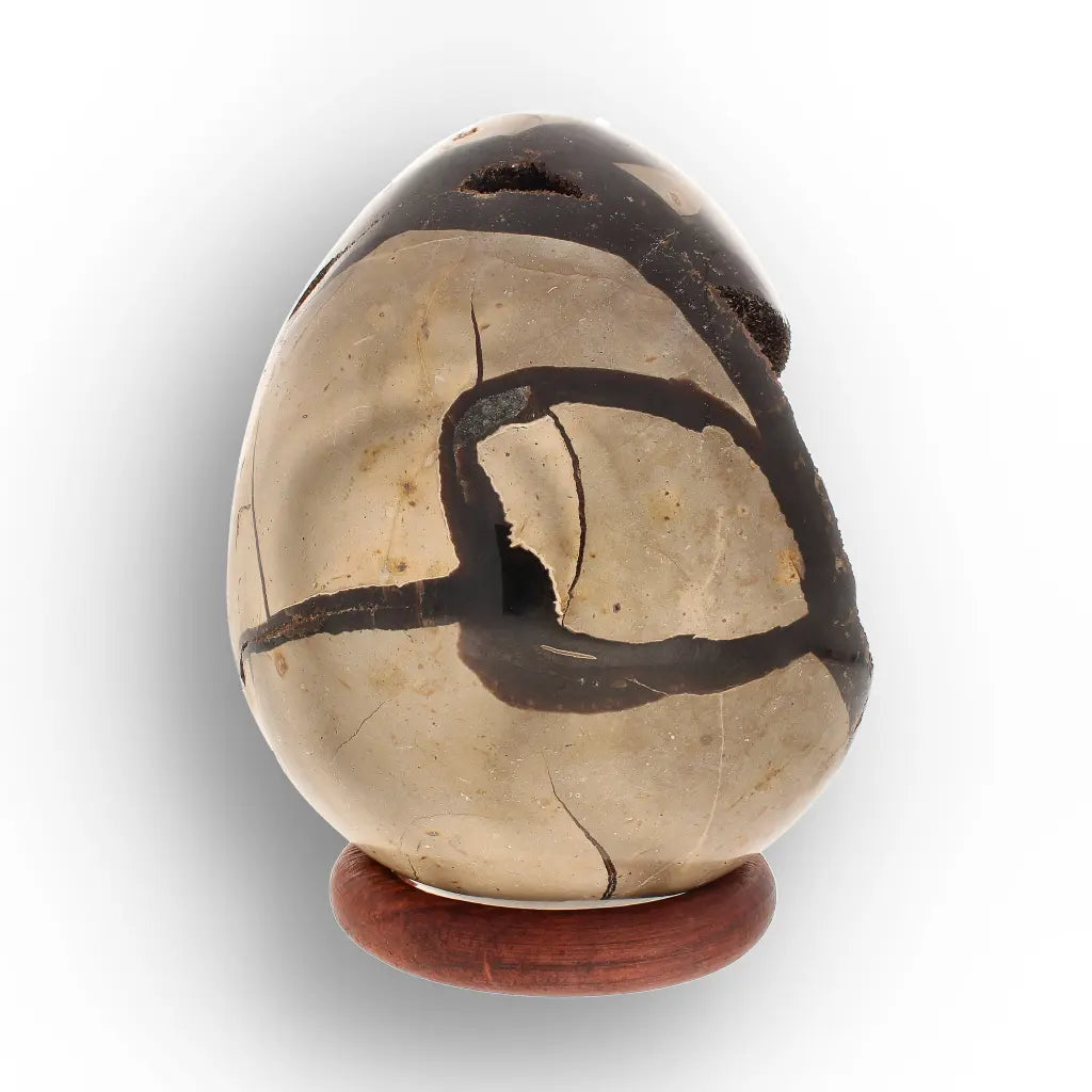 Get your Septarian “Dragon’s Egg” Crystal Geode – Madagascar Specimen online now or in store at Forever Gems in Franschhoek, South Africa