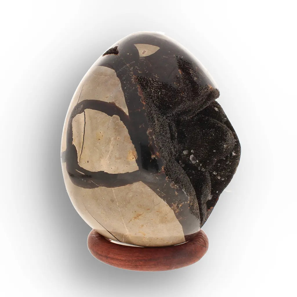 Get your Septarian “Dragon’s Egg” Crystal Geode – Madagascar Specimen online now or in store at Forever Gems in Franschhoek, South Africa