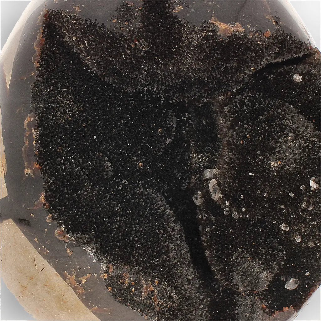 Get your Septarian “Dragon’s Egg” Crystal Geode – Madagascar Specimen online now or in store at Forever Gems in Franschhoek, South Africa