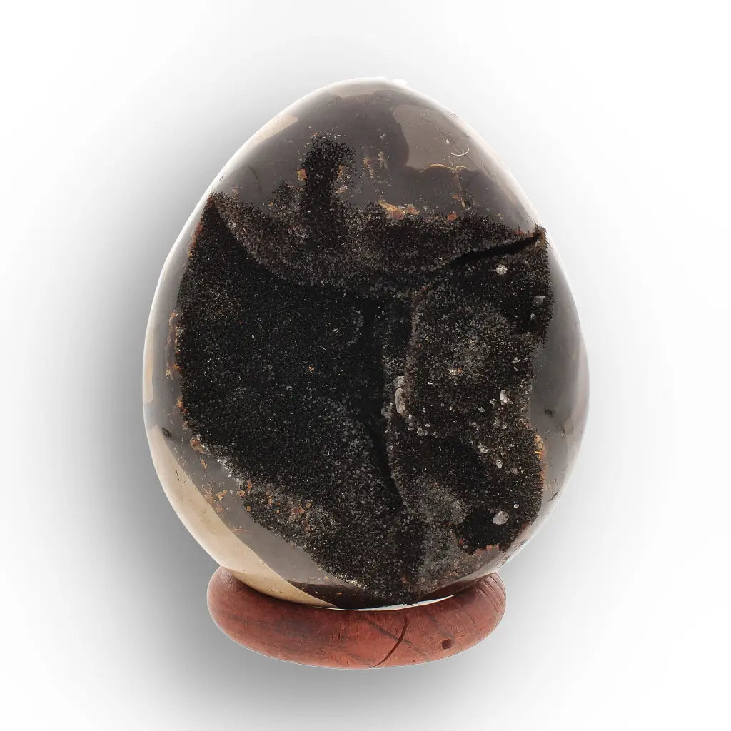 STONE EDGE ストーン・エッジ IN DISGUISE Septarian Dragon's Egg from Madagascar | Jurassic Crystal Geode