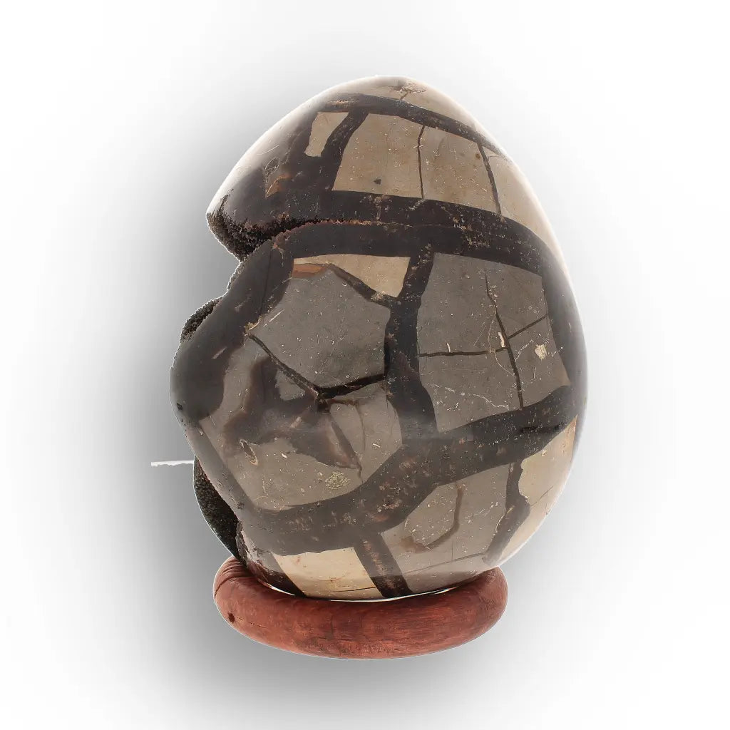 Septarian Dragon's Egg from Madagascar | Jurassic Crystal Geode