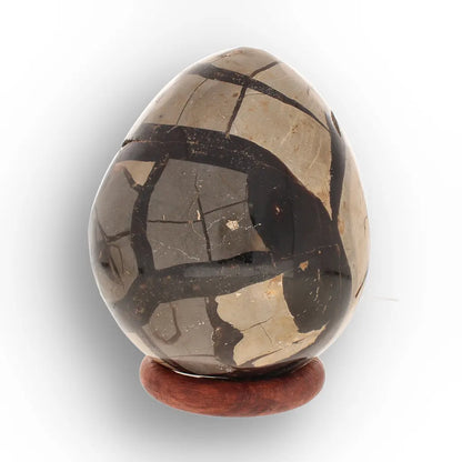 Get your Septarian “Dragon’s Egg” Crystal Geode – Madagascar Specimen online now or in store at Forever Gems in Franschhoek, South Africa