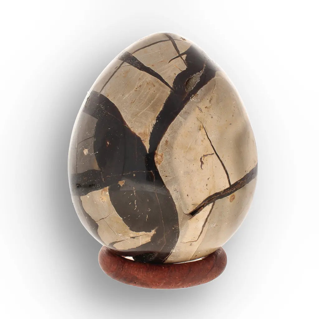 Get your Septarian “Dragon’s Egg” Crystal Geode – Madagascar Specimen online now or in store at Forever Gems in Franschhoek, South Africa