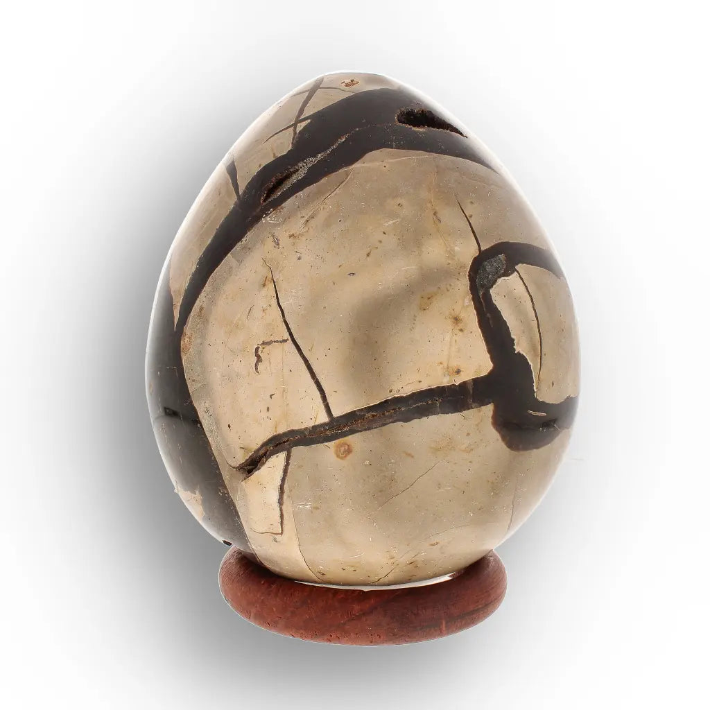 Get your Septarian “Dragon’s Egg” Crystal Geode – Madagascar Specimen online now or in store at Forever Gems in Franschhoek, South Africa