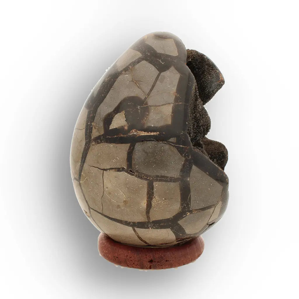 Get your Septarian Dragon’s Egg Geode from Madagascar – Polished Display online now or in store at Forever Gems in Franschhoek, South Africa