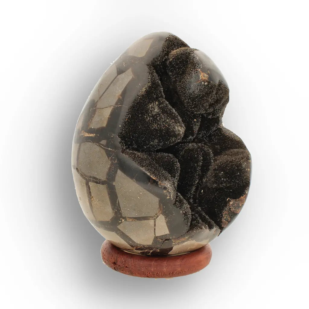 Get your Septarian Dragon’s Egg Geode from Madagascar – Polished Display online now or in store at Forever Gems in Franschhoek, South Africa