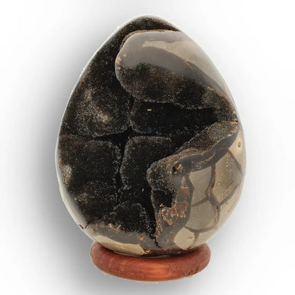 Get your Septarian Dragon’s Egg Geode from Madagascar – Polished Display online now or in store at Forever Gems in Franschhoek, South Africa