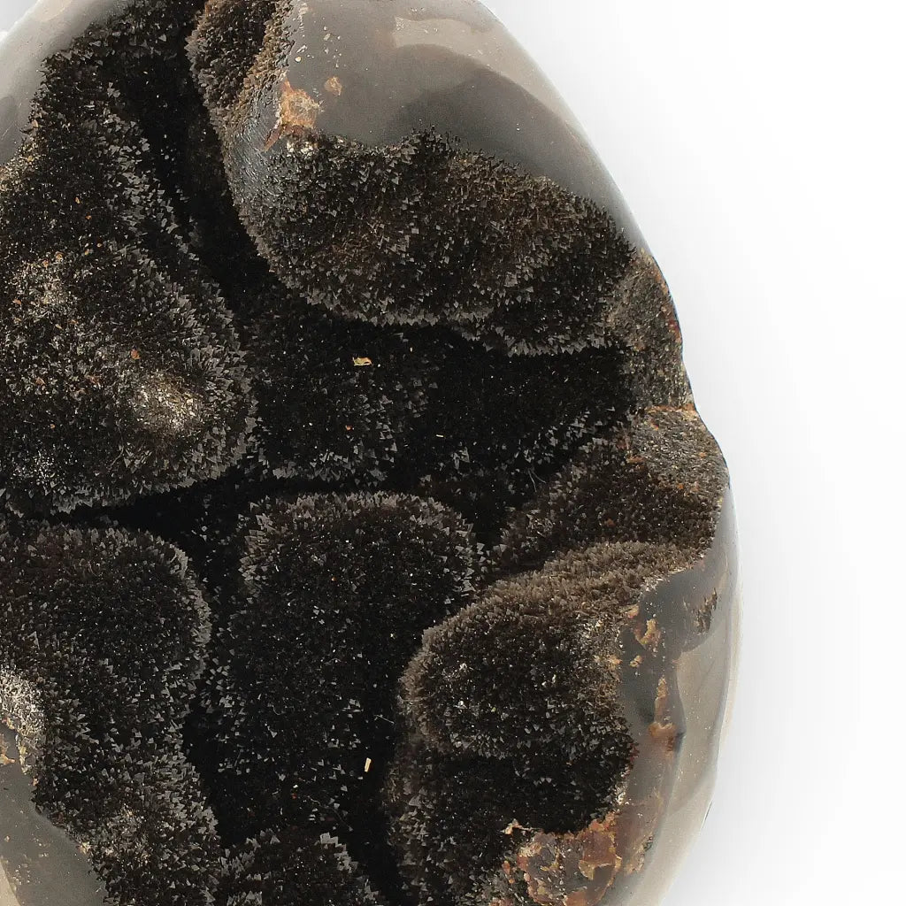 Get your Septarian Dragon’s Egg Geode from Madagascar – Polished Display online now or in store at Forever Gems in Franschhoek, South Africa