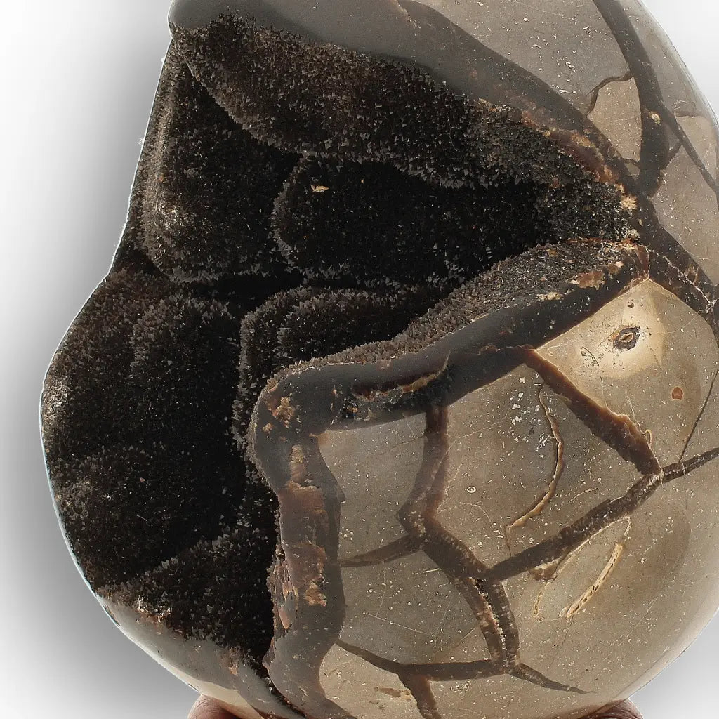 Get your Septarian Dragon’s Egg Geode from Madagascar – Polished Display online now or in store at Forever Gems in Franschhoek, South Africa