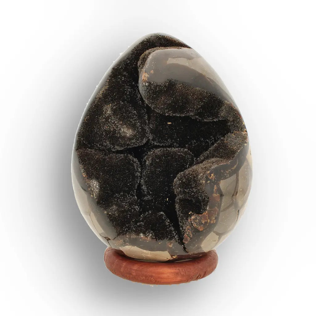 Get your Septarian Dragon’s Egg Geode from Madagascar – Polished Display online now or in store at Forever Gems in Franschhoek, South Africa
