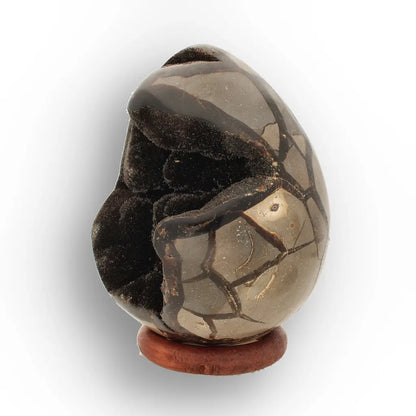 Get your Septarian Dragon’s Egg Geode from Madagascar – Polished Display online now or in store at Forever Gems in Franschhoek, South Africa