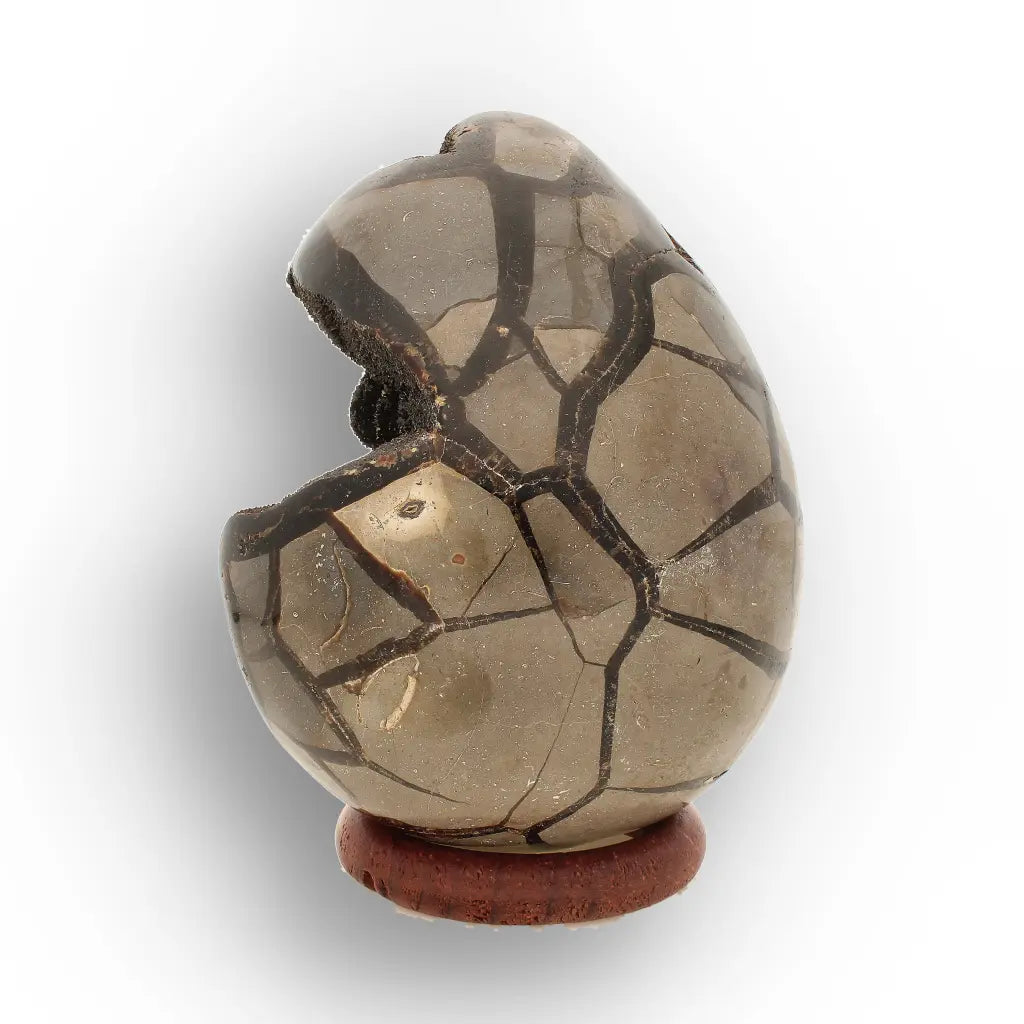 Get your Septarian Dragon’s Egg Geode from Madagascar – Polished Display online now or in store at Forever Gems in Franschhoek, South Africa