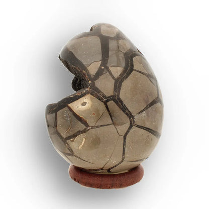 Get your Septarian Dragon’s Egg Geode from Madagascar – Polished Display online now or in store at Forever Gems in Franschhoek, South Africa