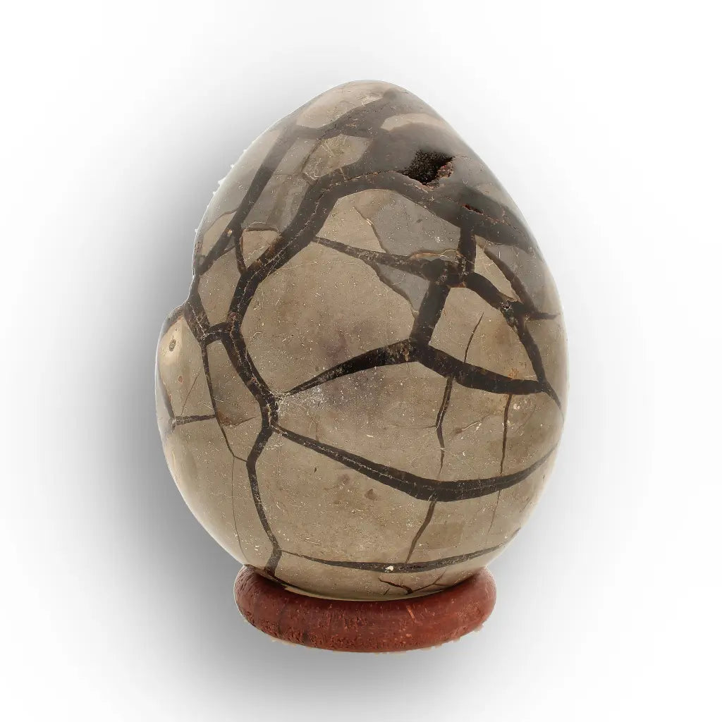 Get your Septarian Dragon’s Egg Geode from Madagascar – Polished Display online now or in store at Forever Gems in Franschhoek, South Africa