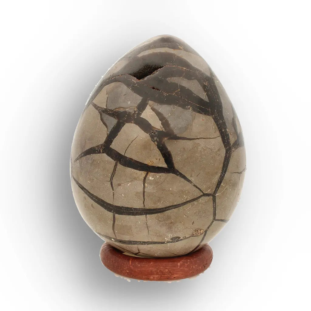 Get your Septarian Dragon’s Egg Geode from Madagascar – Polished Display online now or in store at Forever Gems in Franschhoek, South Africa