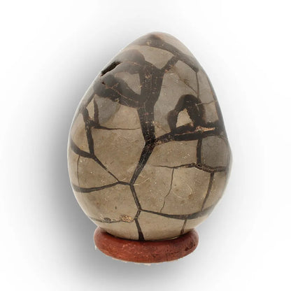 Get your Septarian Dragon’s Egg Geode from Madagascar – Polished Display online now or in store at Forever Gems in Franschhoek, South Africa