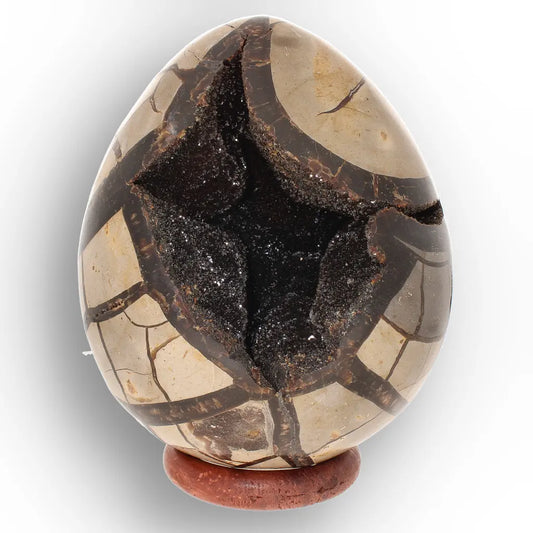 Get your Madagascar Septarian Dragon’s Egg – Natural Crystal Geode online now or in store at Forever Gems in Franschhoek, South Africa