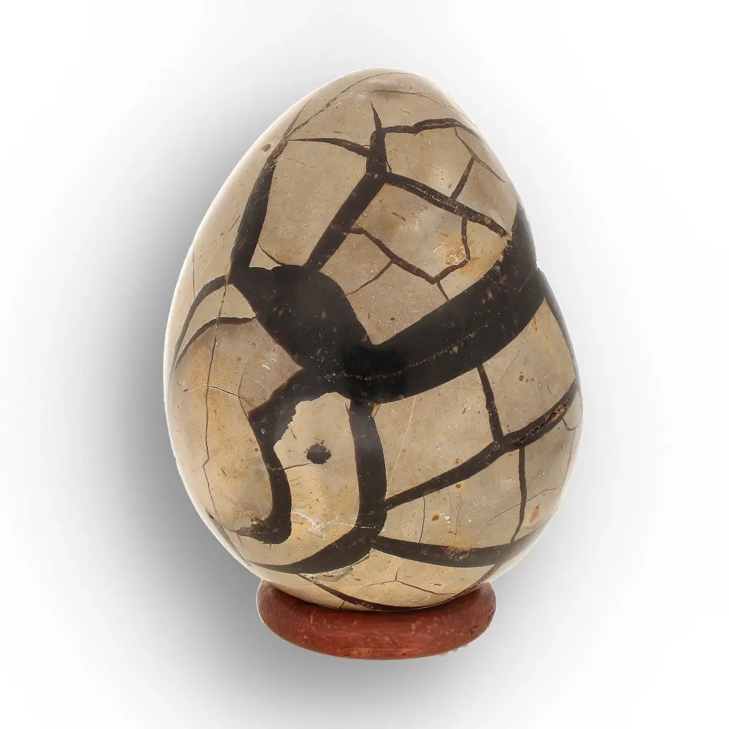 Get your Madagascar Septarian Dragon’s Egg – Natural Crystal Geode online now or in store at Forever Gems in Franschhoek, South Africa