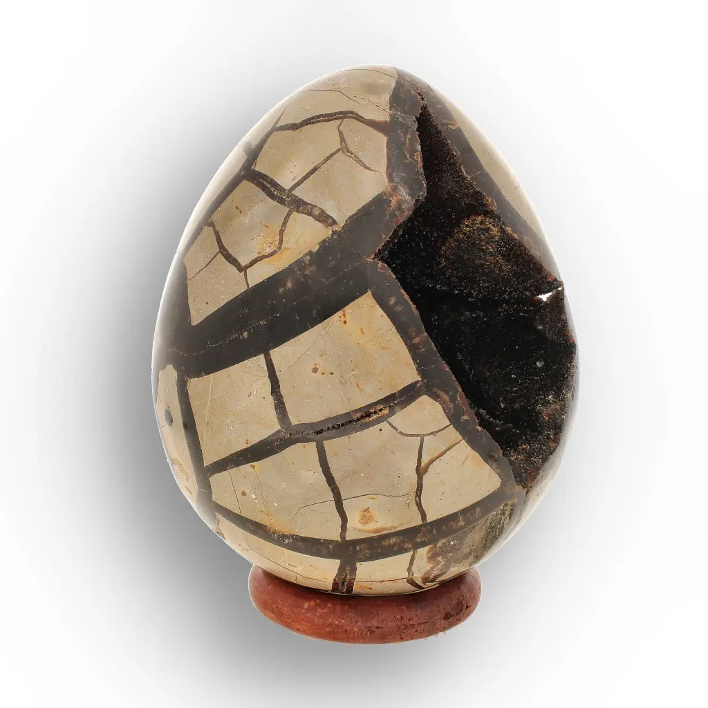 Get your Madagascar Septarian Dragon’s Egg – Natural Crystal Geode online now or in store at Forever Gems in Franschhoek, South Africa