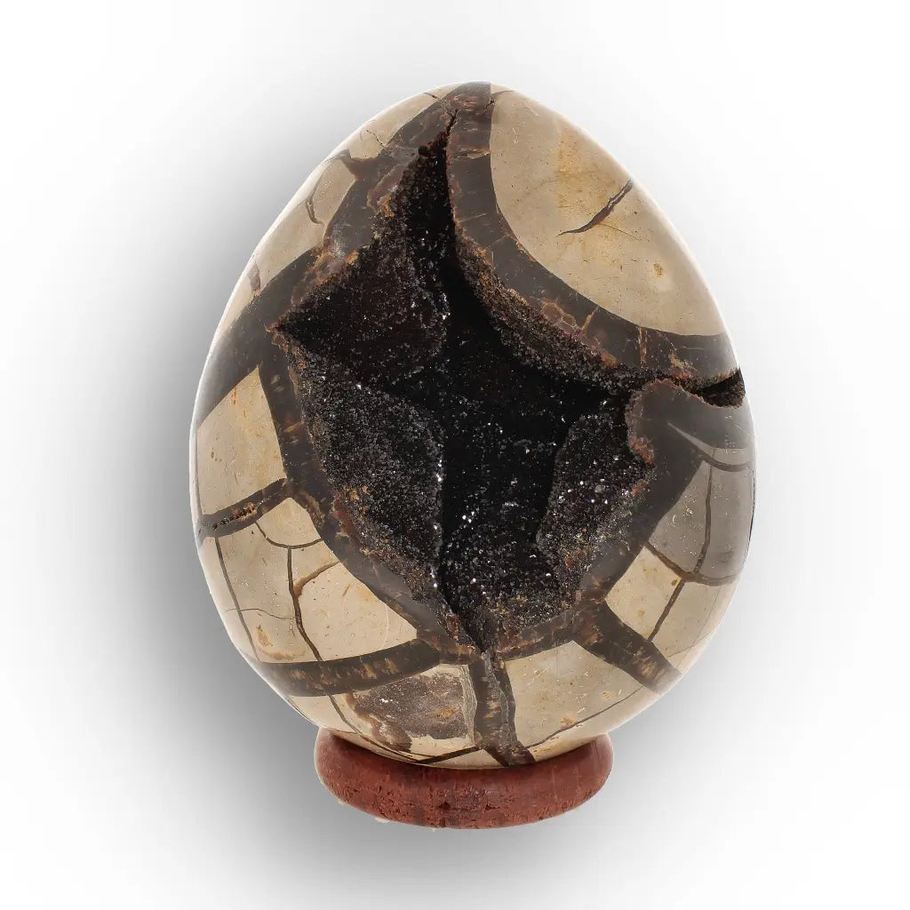 Get your Madagascar Septarian Dragon’s Egg – Natural Crystal Geode online now or in store at Forever Gems in Franschhoek, South Africa