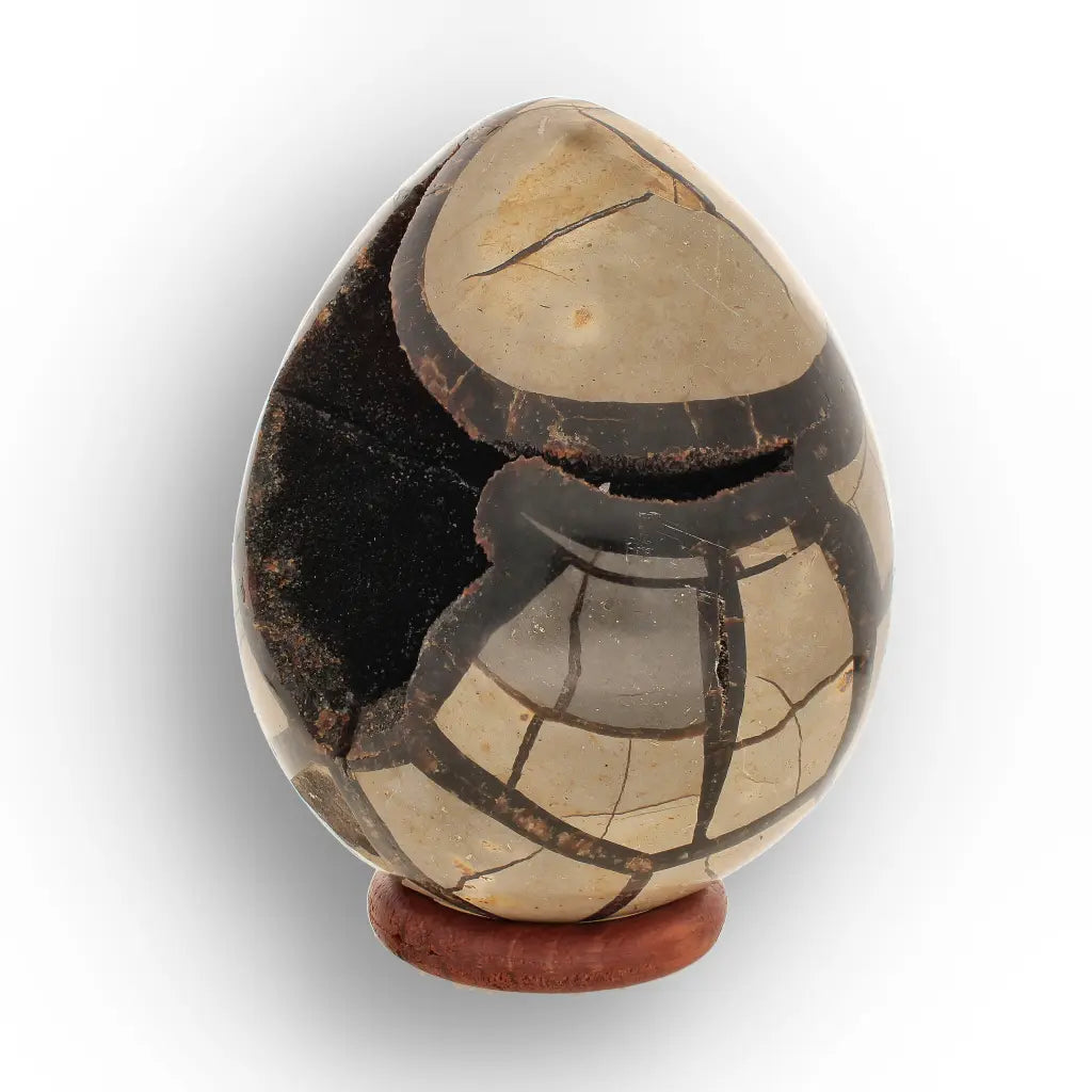 Get your Madagascar Septarian Dragon’s Egg – Natural Crystal Geode online now or in store at Forever Gems in Franschhoek, South Africa