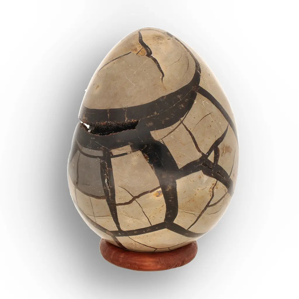 Get your Madagascar Septarian Dragon’s Egg – Natural Crystal Geode online now or in store at Forever Gems in Franschhoek, South Africa