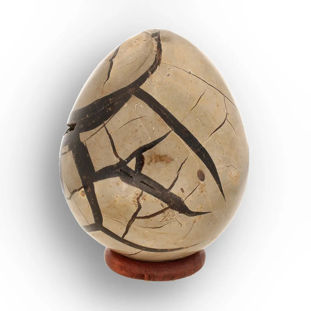 Get your Madagascar Septarian Dragon’s Egg – Natural Crystal Geode online now or in store at Forever Gems in Franschhoek, South Africa
