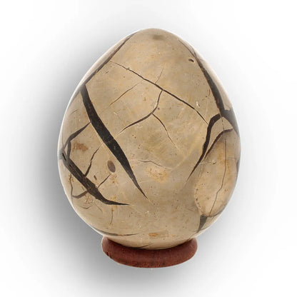 Get your Madagascar Septarian Dragon’s Egg – Natural Crystal Geode online now or in store at Forever Gems in Franschhoek, South Africa