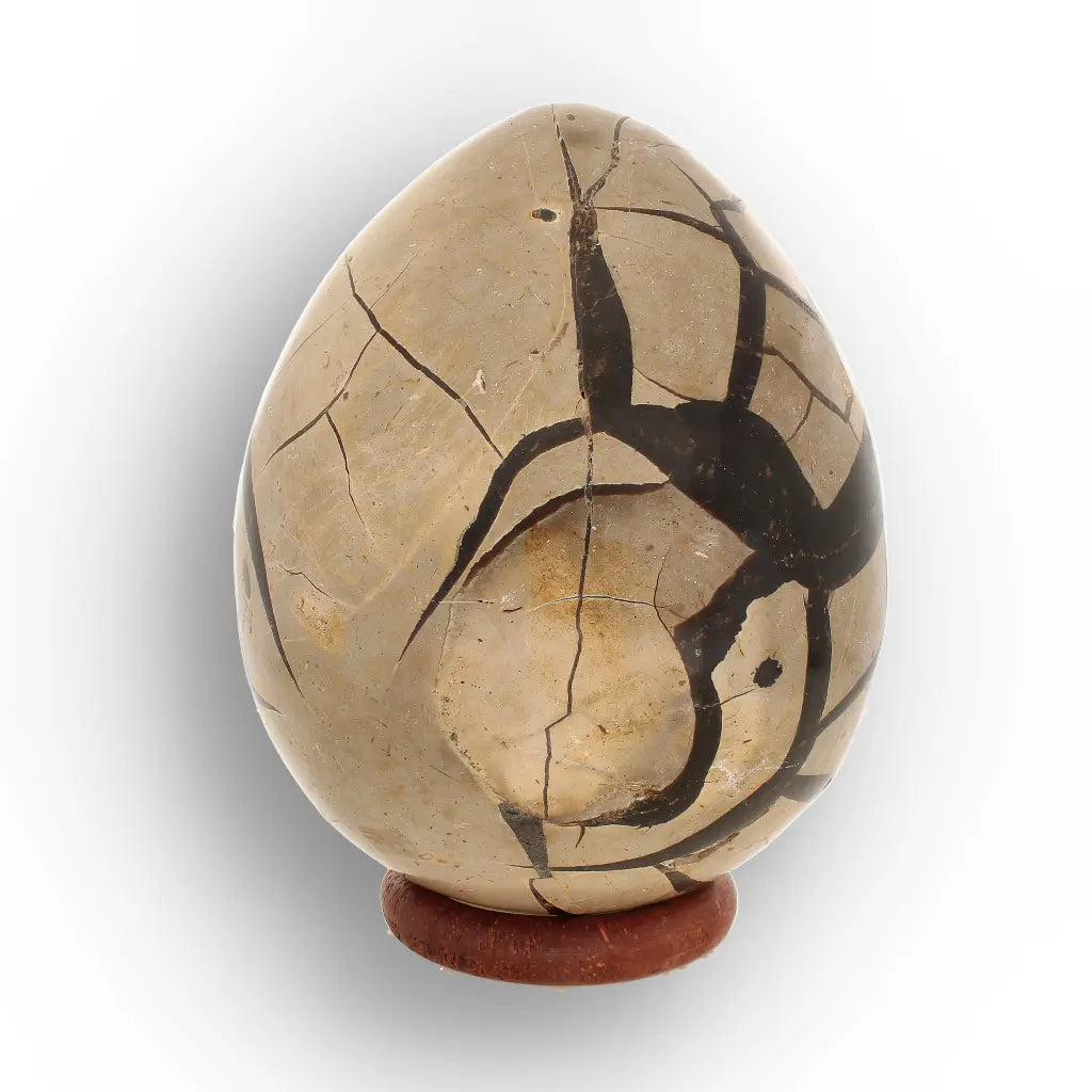 Get your Madagascar Septarian Dragon’s Egg – Natural Crystal Geode online now or in store at Forever Gems in Franschhoek, South Africa