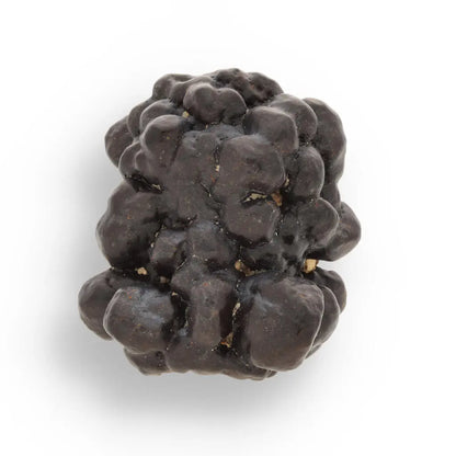 Buy your Prophecy Stone - Grounded Wisdom from the Desert online now or in store at Forever Gems in Franschhoek, South Africa