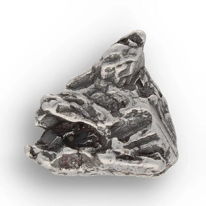 Get your From Ancient Seas to Falling Stars – A Fossil & Meteorite Treasure Chest online now or in store at Forever Gems in Franschhoek, South Africa