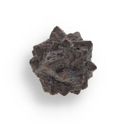 Buy your Prophecy Stone - A Rare Find from the Desert online now or in store at Forever Gems in Franschhoek, South Africa