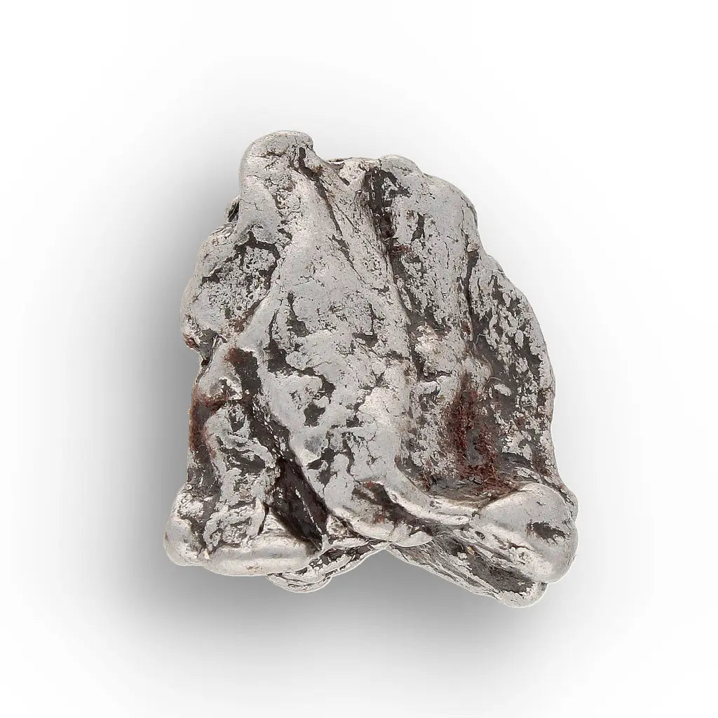 Get your From Ancient Seas to Falling Stars – A Fossil & Meteorite Treasure Chest online now or in store at Forever Gems in Franschhoek, South Africa